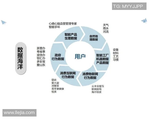 知识产权在数字经济时代的保护与创新发展路径探讨
