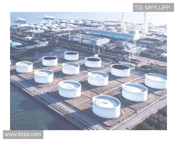 全球挑战赛分析LNG灵活性表现引发的市场变革与机遇探讨